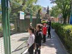 Evrensel Kolej